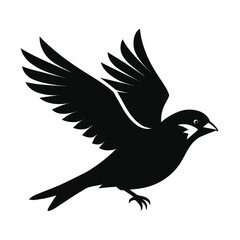 Obraz premium Silhouette of a bird in flight with wings spread wide