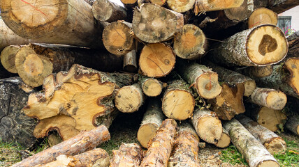 Freshly cut pine logs stacked outdoors, showcasing natural wood texture, forestry and logging industry scene