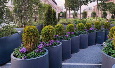 Vibrant greenery and colorful flowers brighten urban landscape in early evening light