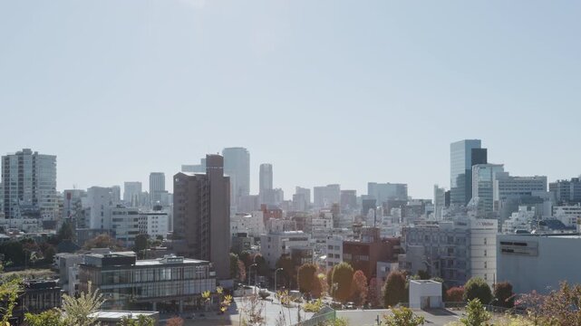 Tokyo Scene : Backlit View of Densely Packed Buildings Bathed in Sunlight on a Clear Day  |  Shibuya, Tokyo, Japan