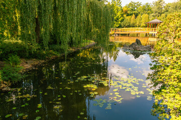 Tranquil scene of a lush pond with water lilies and wooden gazebo in sunny park