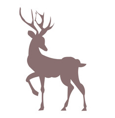 deer vector illustration