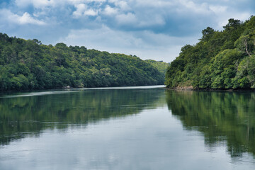 Obraz premium A river with a forest on either side