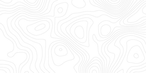 white background displays topographic contour lines, creating abstract pattern suitable for various design applications	