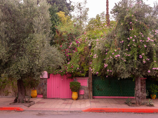 A Vibrant Moroccan Streetscape in Marrakech Showcasing a Striking Pink Gate Flanked by Lush Trees and Flowering Vines