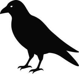 Obraz premium silhouette of a bird