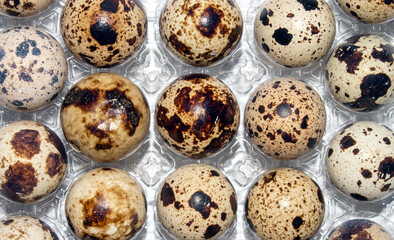Quail eggs are a dietary food product.Quail eggs background.Quail eggs in a package.Quail eggs.