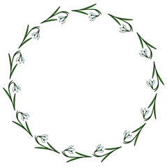 Obraz premium A delicate circular frame composed of blooming snowdrop flowers and slender green leaves, presented as a clean vector illustration.