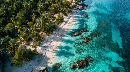 Aerial view of a beautiful beach with crystal clear waters