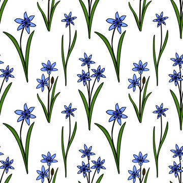 Seamless vector pattern of delicate blue scilla flowers with green leaves on a white background, capturing the essence of early spring bloom.