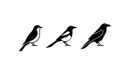 Fototapeta premium Three distinct birds shown in silhouette and profile against a clean white background.