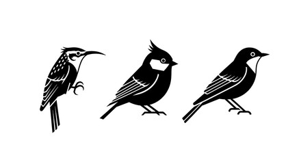 Fototapeta premium Three stylized black silhouettes of different small birds on a white background.