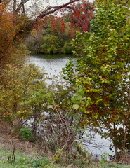 Rappahannock River in Fredericksburg, Virginia
