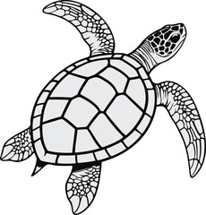 Minimalist sea turtle line art illustration, clean black outline on white background, elegant single continuous stroke, vector style 1