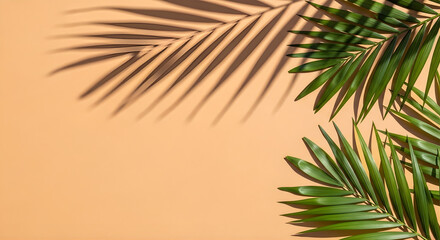 Fototapeta premium palm tree branches