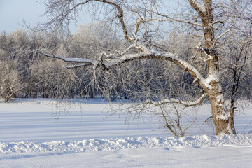 Snow-covered electricity pylon stands tall against a twilight sky, its intricate metal lattice dusted with winter's touch, symbolizing power infrastructure in a serene, frosty landscape.