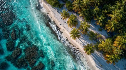 Aerial view of a beautiful beach with crystal clear waters