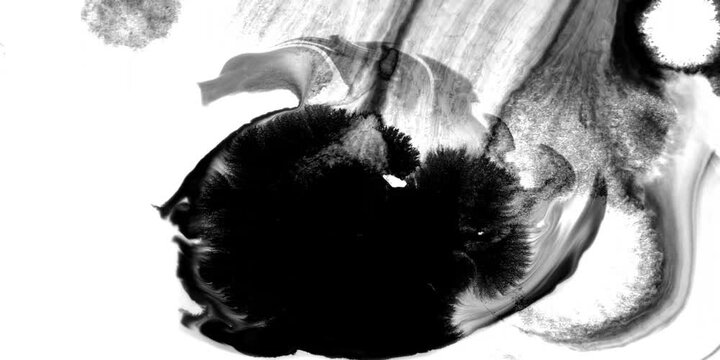 Swirling smoke or ink fluid transition effect. Steam, dust explosion. Black on white background