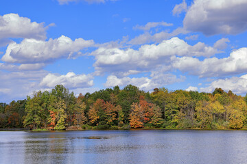 Colorful Trees by Stanfield Lake on a Clear Autumn Day