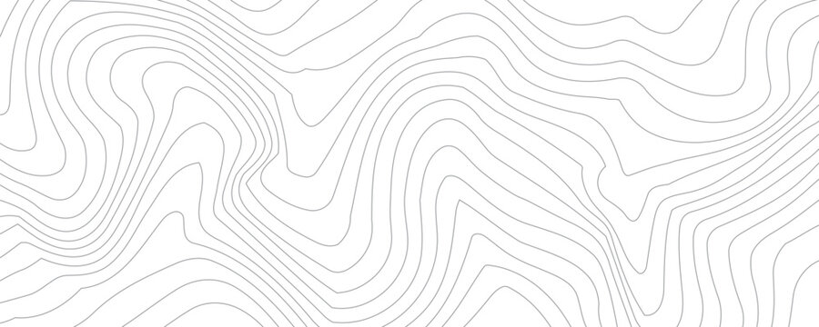 Topography background. Vector banner. Topography map background. Vector geographic contour map. Background of the topographic map. Topographic map lines, contour background.