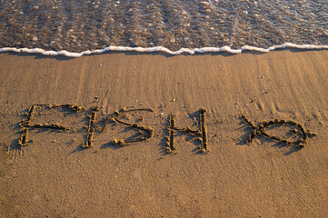 The word “Fish” written on sandy beach near the shoreline