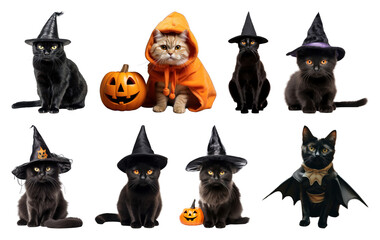 PNG Cats dressed in Halloween costumes, element set on transparent background