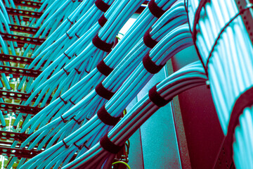 Blue Data Cables in Server Room Setup