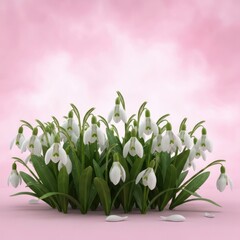 Delicate white snowdrops blooming in a lush green cluster on a soft pink watercolor background