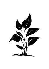 Flat design of a plant vector in black and white perfect for apps, website, logo or sign 