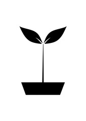 Flat design of a plant vector in black and white perfect for apps, website, logo or sign 
