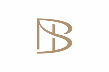 Letter NB Elegant Logo 