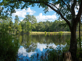 North Carolina Beautiful Scenes Lumber River, Carvers Creek State Park, Cape Fear River