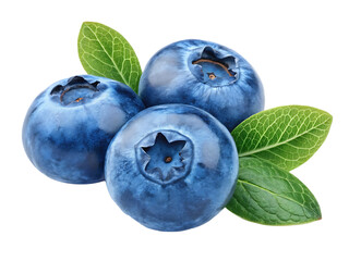 Obraz premium Fresh ripe blueberries with leaves against a black background studio shot