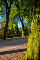 Lucca ancient walls park