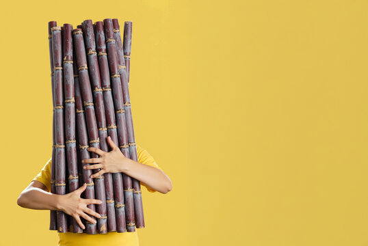 Person Holding a Large Bundle of Sugarcane Stalks on Bright Yellow Background with Copy Space