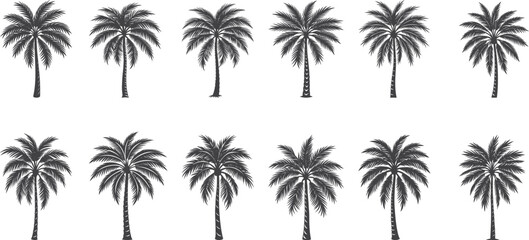 Set of palm tree silhouettes tropical beach nature landscape vector illustration