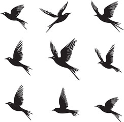 Beautiful artistic black flying bird shapes for design creativity on white background