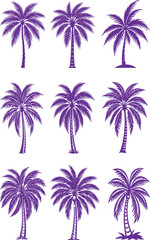 Set of tropical palm tree silhouettes vector illustration against a vibrant sunset sky on the beach