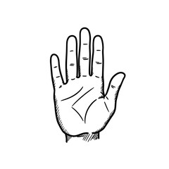 Detailed sketch of an open human hand in black and white on white background