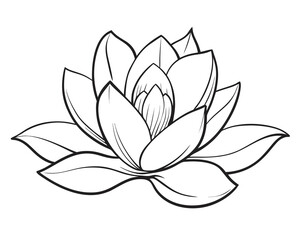Lotus flower vector illustration