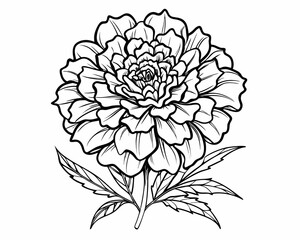 Vector illustration of a flower