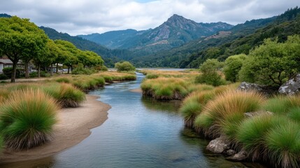 Expansive Wetland Landscape With Lush Green Trees And Rocky Mountain Under A Cloudy Sky