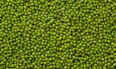 An overhead, full-frame close-up of a dense, uniform texture made entirely of bright green mung beans (moong dal).