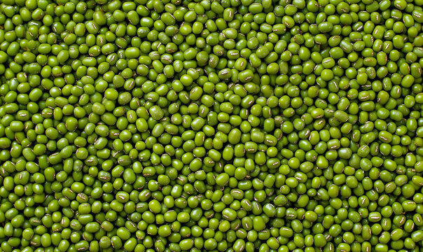 An overhead, full-frame close-up of a dense, uniform texture made entirely of bright green mung beans (moong dal).