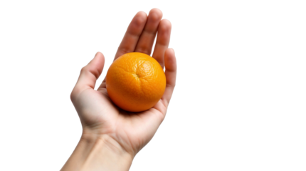 Hand holding orange isolated on transparent background