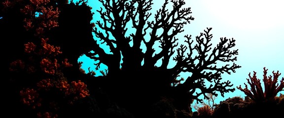 Intricate silhouettes of diverse coral species against a bright background,  reef,  graphic