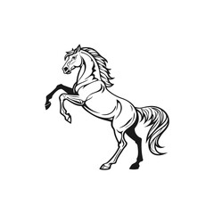 Elegant Rearing Horse Line Art