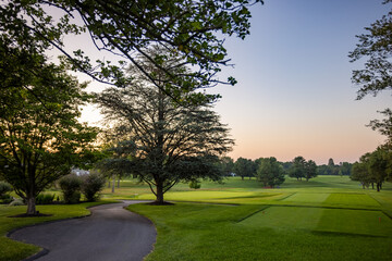 sunset in the park