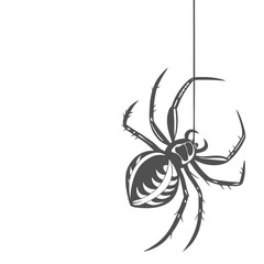 Spider hanging on thread for halloween