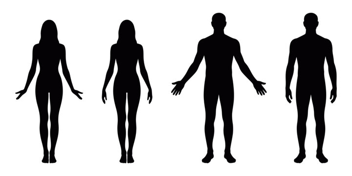 Male and female human body silhouette vector set in neutral standing pose, black figure design ideal for anatomy illustration, infographic layout, health, and educational graphic concepts
